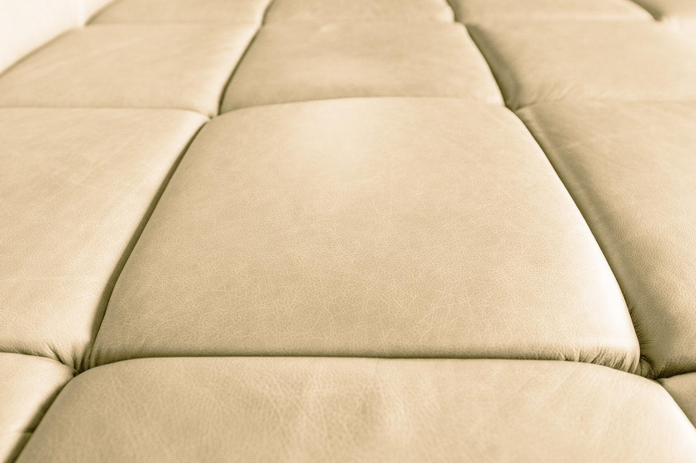 bf1a164f-e4fd-4daf-8e96-628362d7bff9