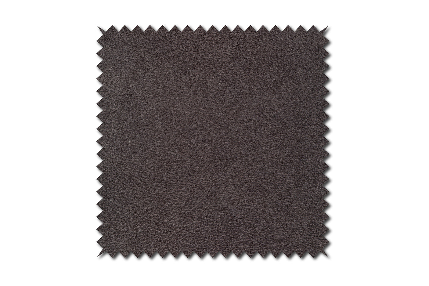 788b2d93-2ed0-4d16-9079-4f662bcd9ed0