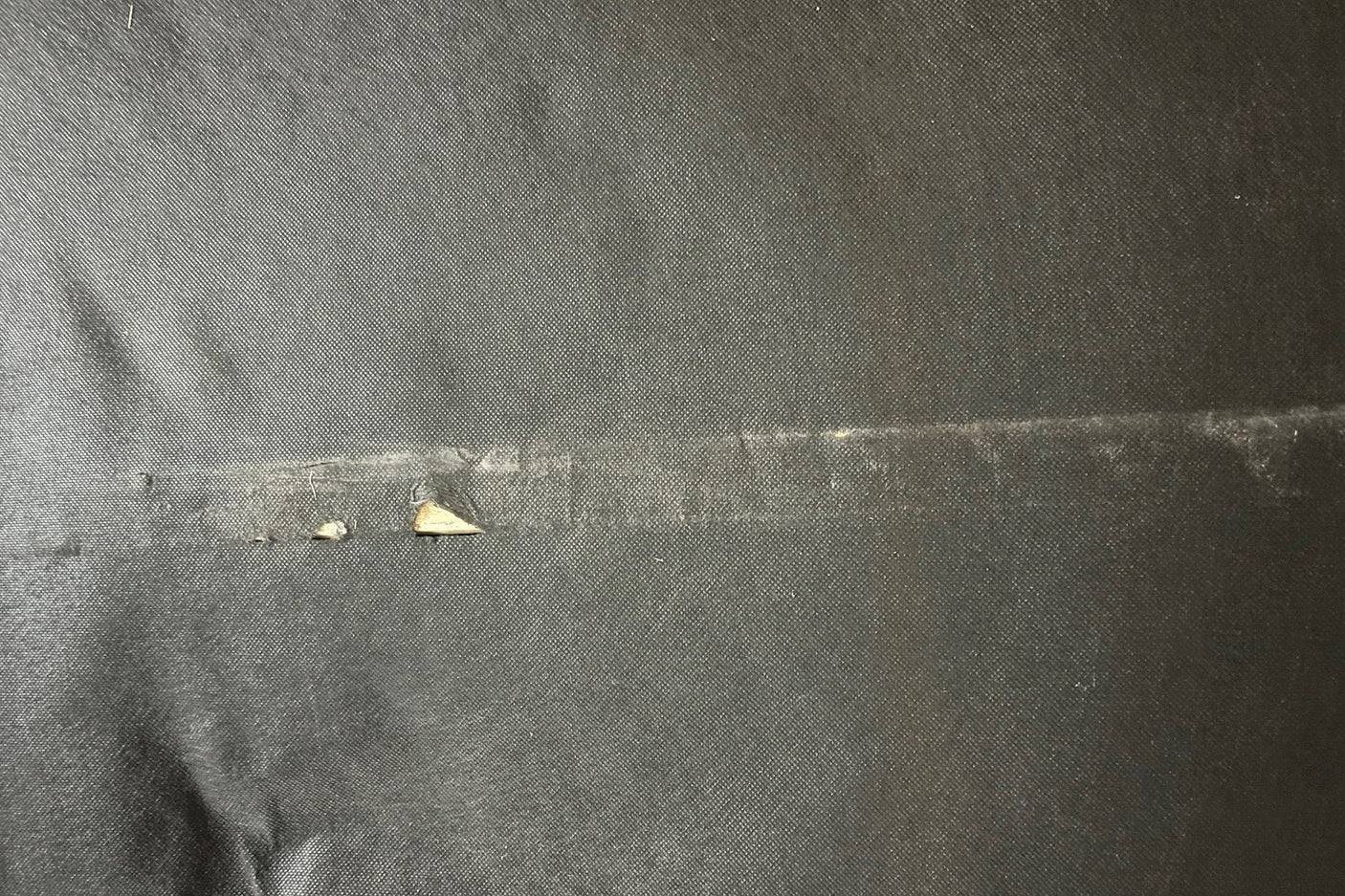 272b6f7e-3984-447d-b7b5-1fd7d0cc9a65