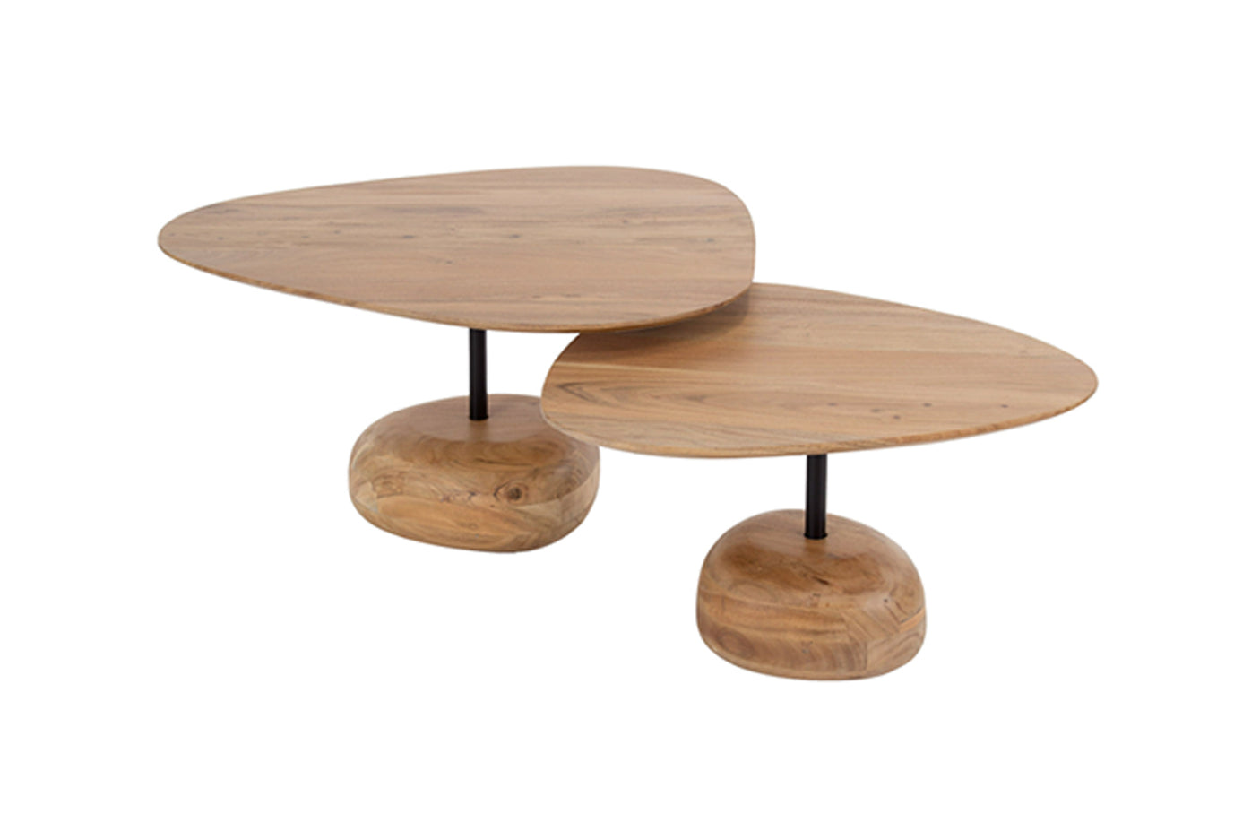 51c0108e-3c75-4a01-a3b2-1a8f632001fb