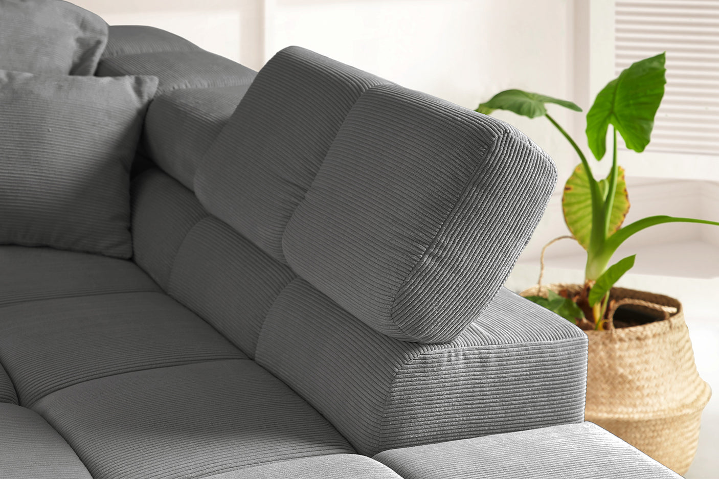 e18b965d-3ca7-4889-b9ba-70ccb9b30f3b