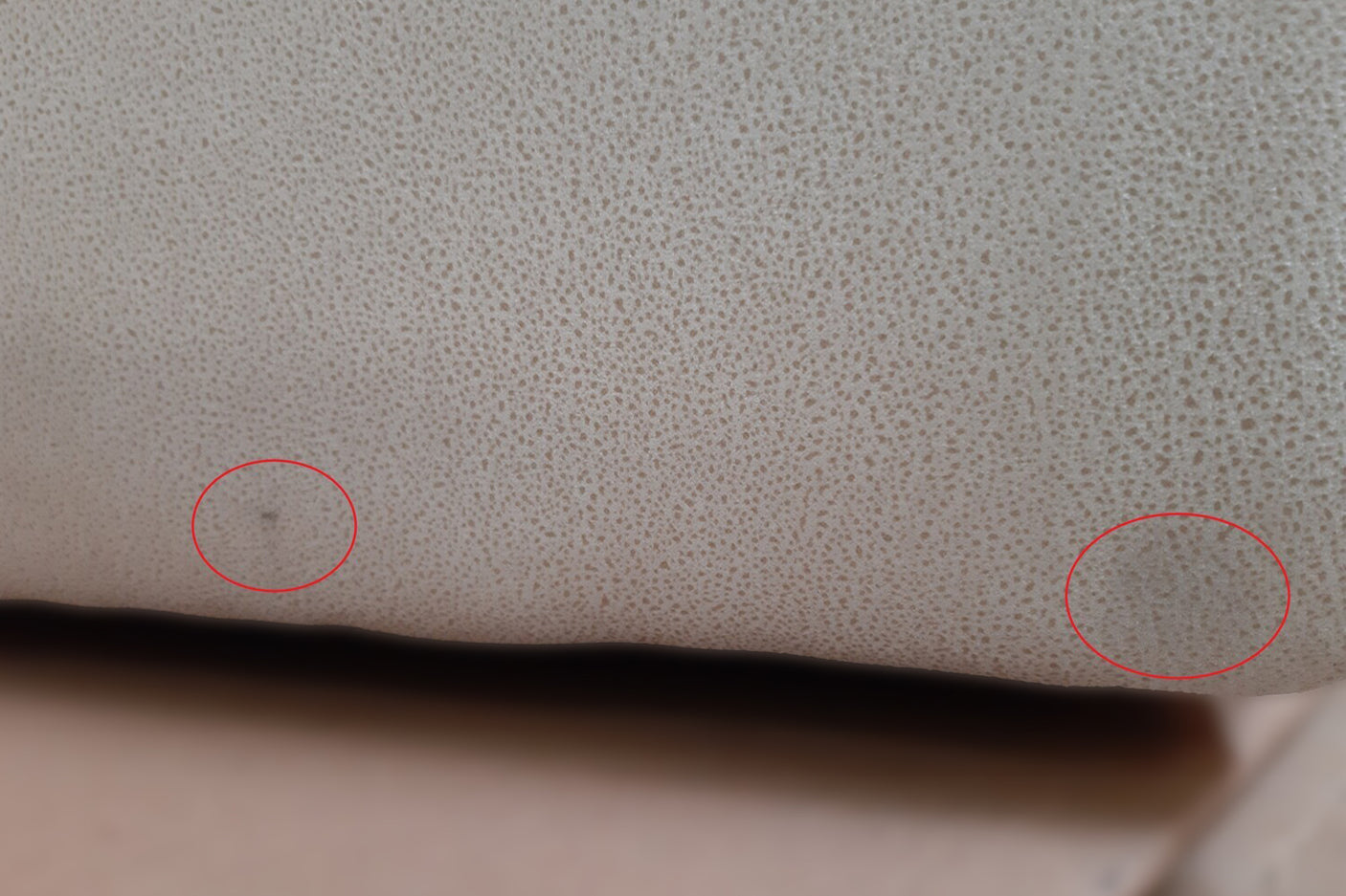 f8d8c38c-f0c8-45fa-896e-89b6fc9ce77b