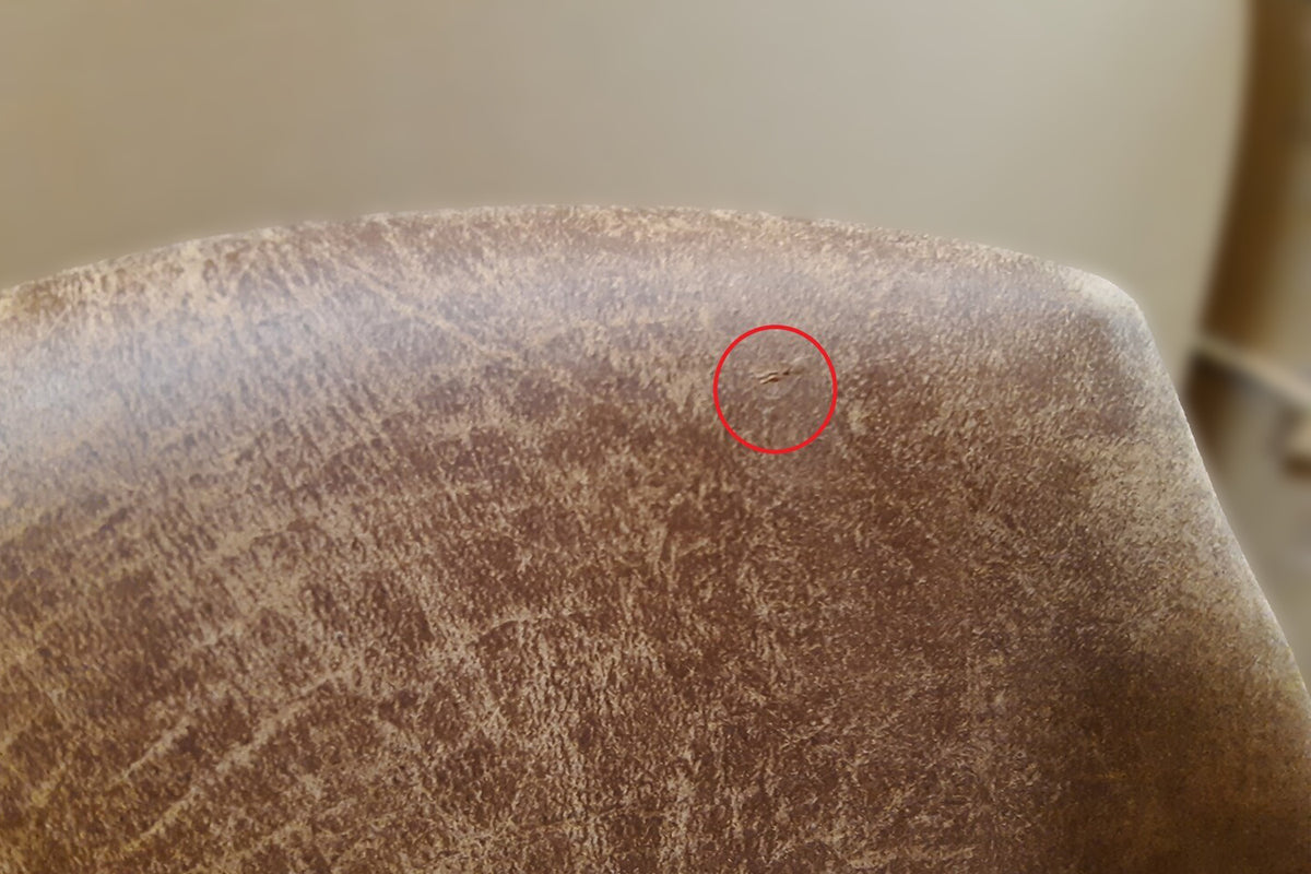 B-Ware KAWOLA Stuhl Cali Sessel Microfaser taupe Füße Edelstahl