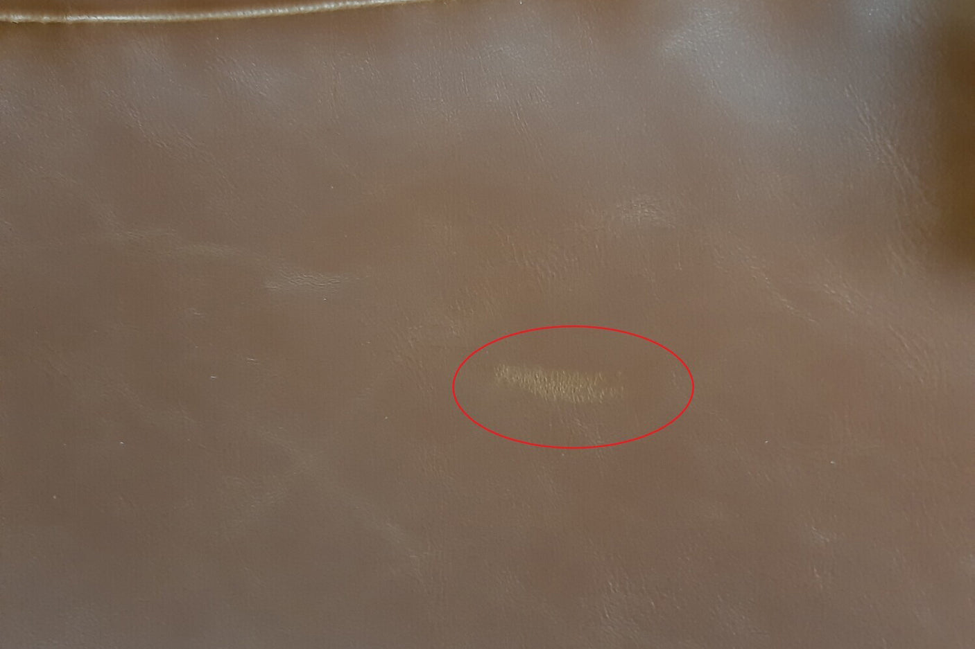 08f4e81a-c08e-4fc3-ae90-61eecbd94c03