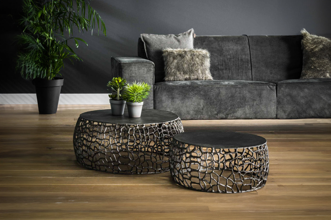 b5cf3d51-f3ae-477c-88bf-38aa34ef165a