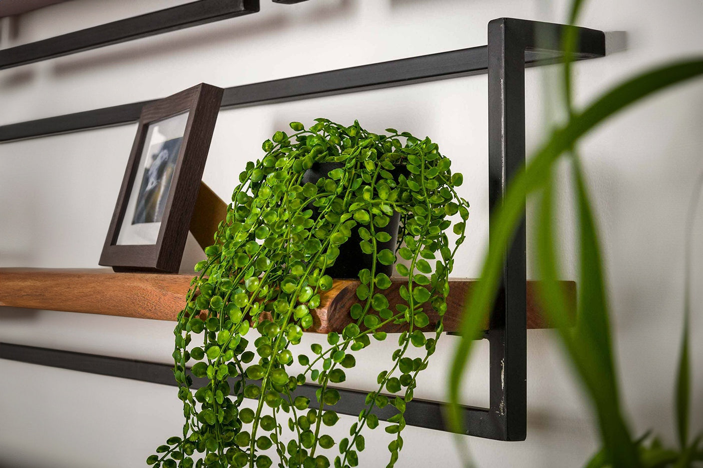 aefb8373-d785-4475-8649-ce0f037ac0d5