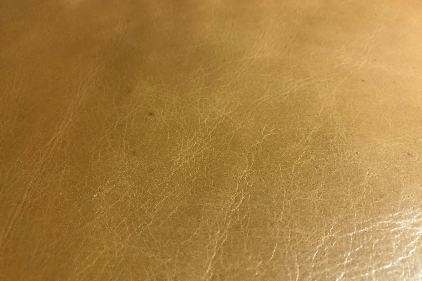 18066c7a-2355-4414-9424-3ec7d758df66