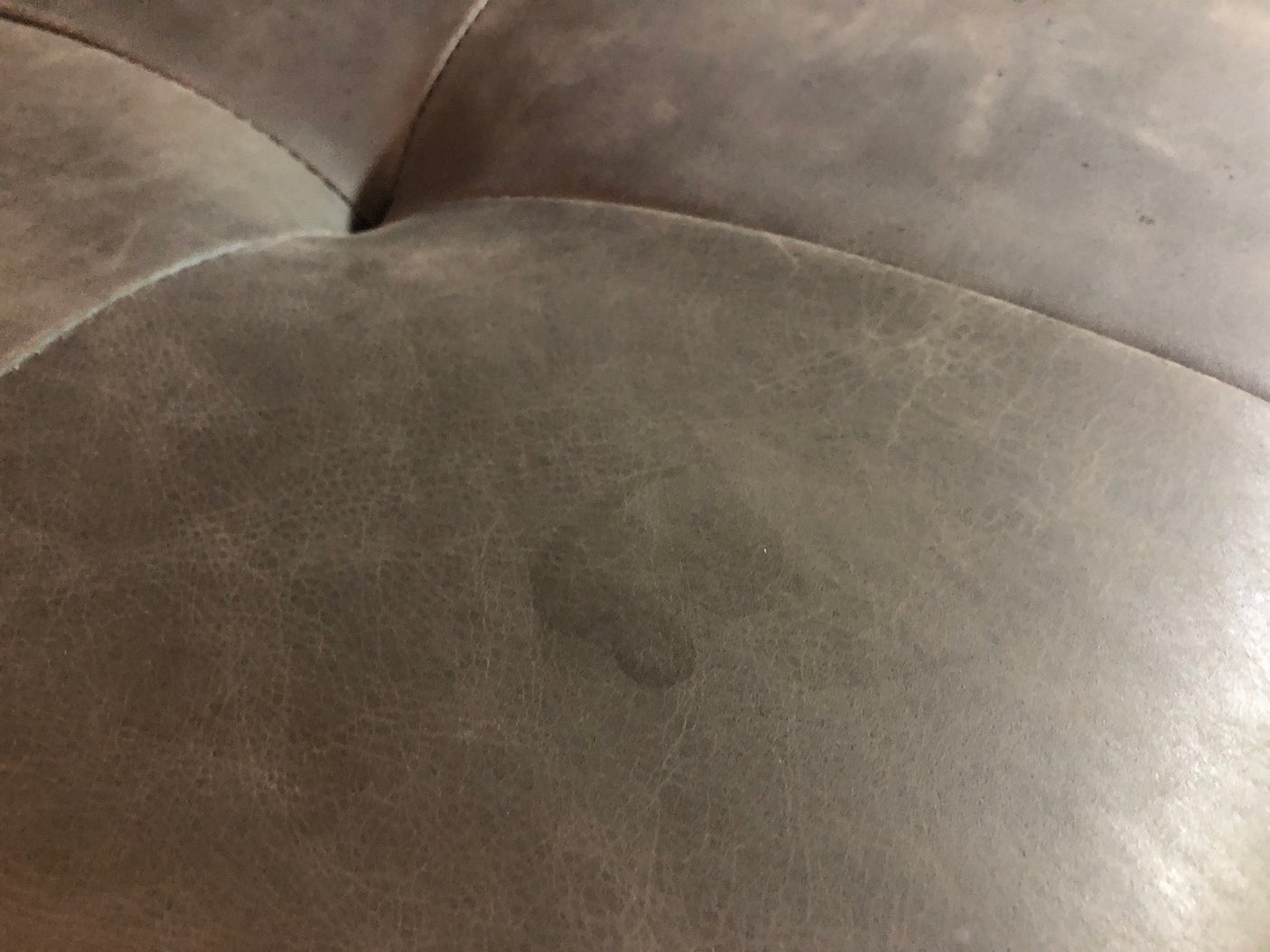 4cb37949-88b5-482f-96e9-c19d0e75e6d4