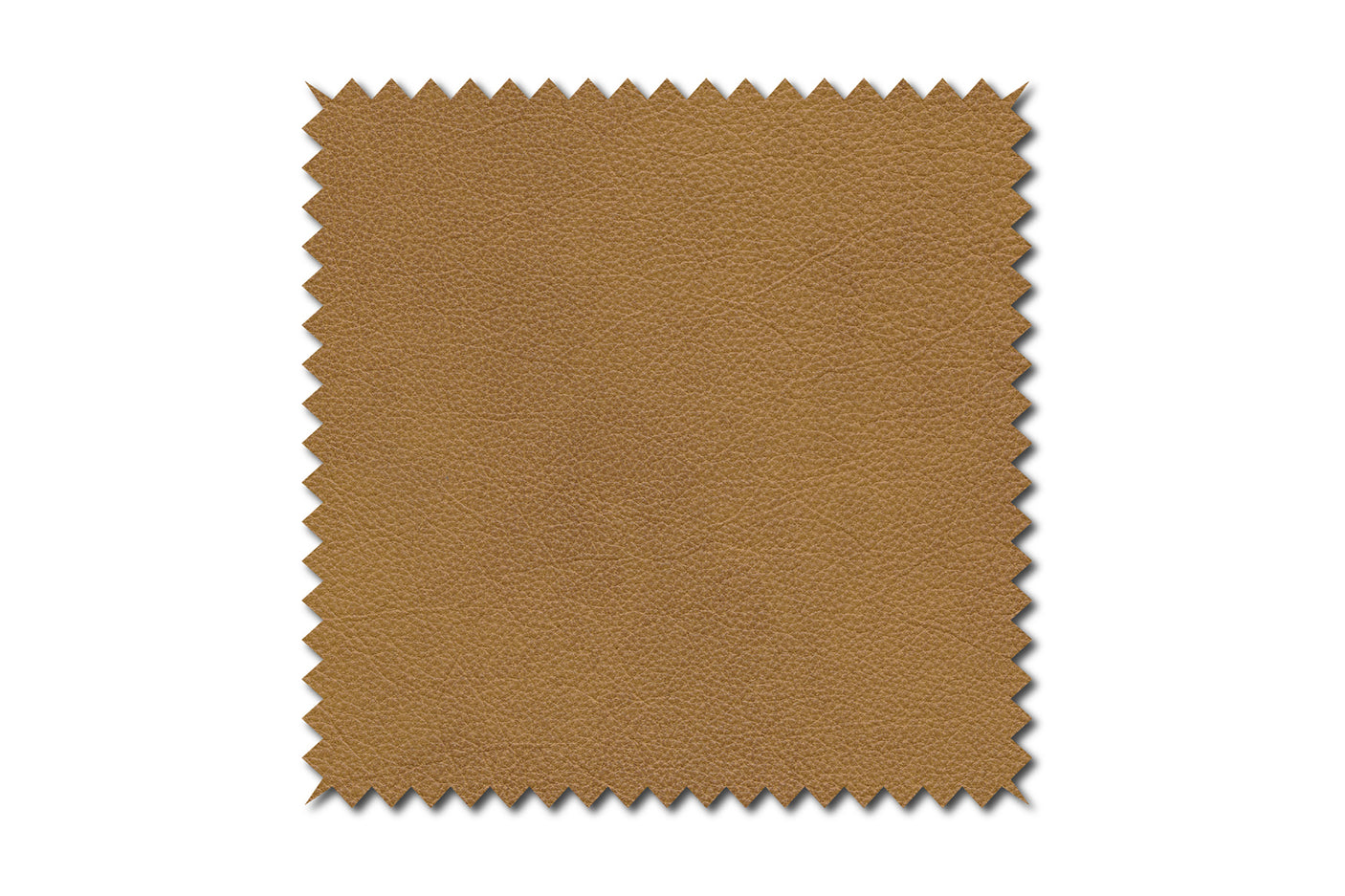 2c8faa6f-e77d-4333-836a-2417176aa6ea