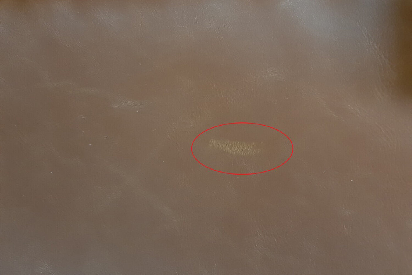 360a9adb-1d90-4f82-b317-e0d841389e12