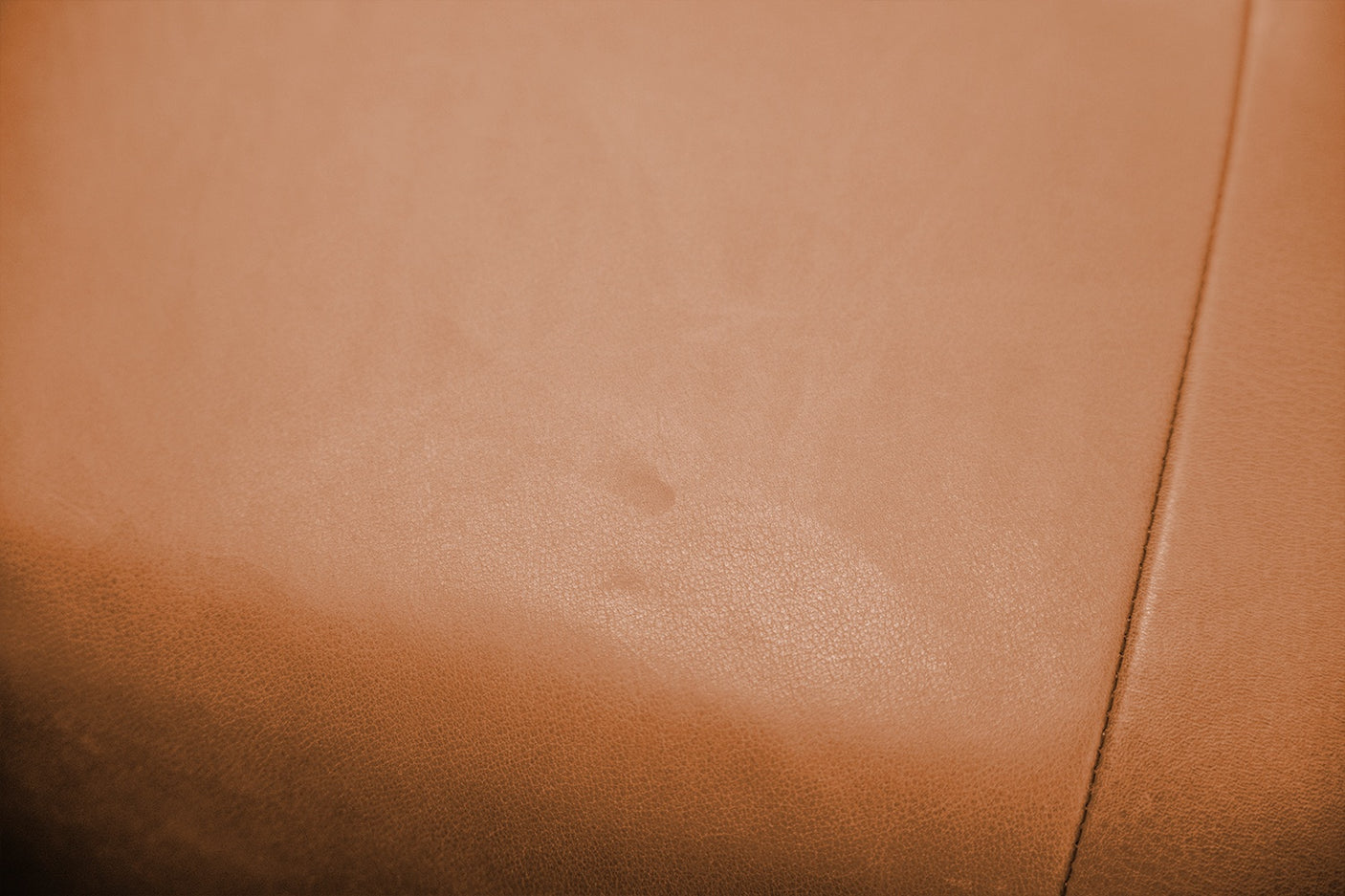 5a5772c3-fa94-4d07-86f3-edafdf2325f4