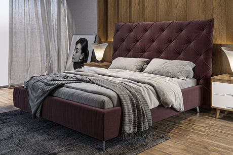 KAWOLA Bett ANNY Polsterbett Velvet purple, 200 x 200 cm, 146